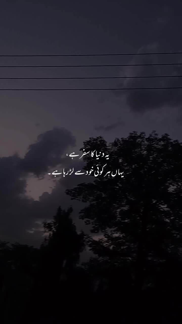 @NOOR 𔘓 / 🫥