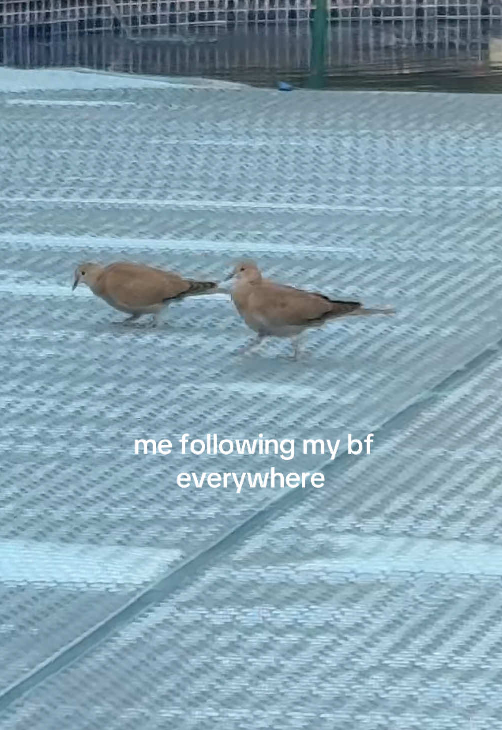 @lia🪐