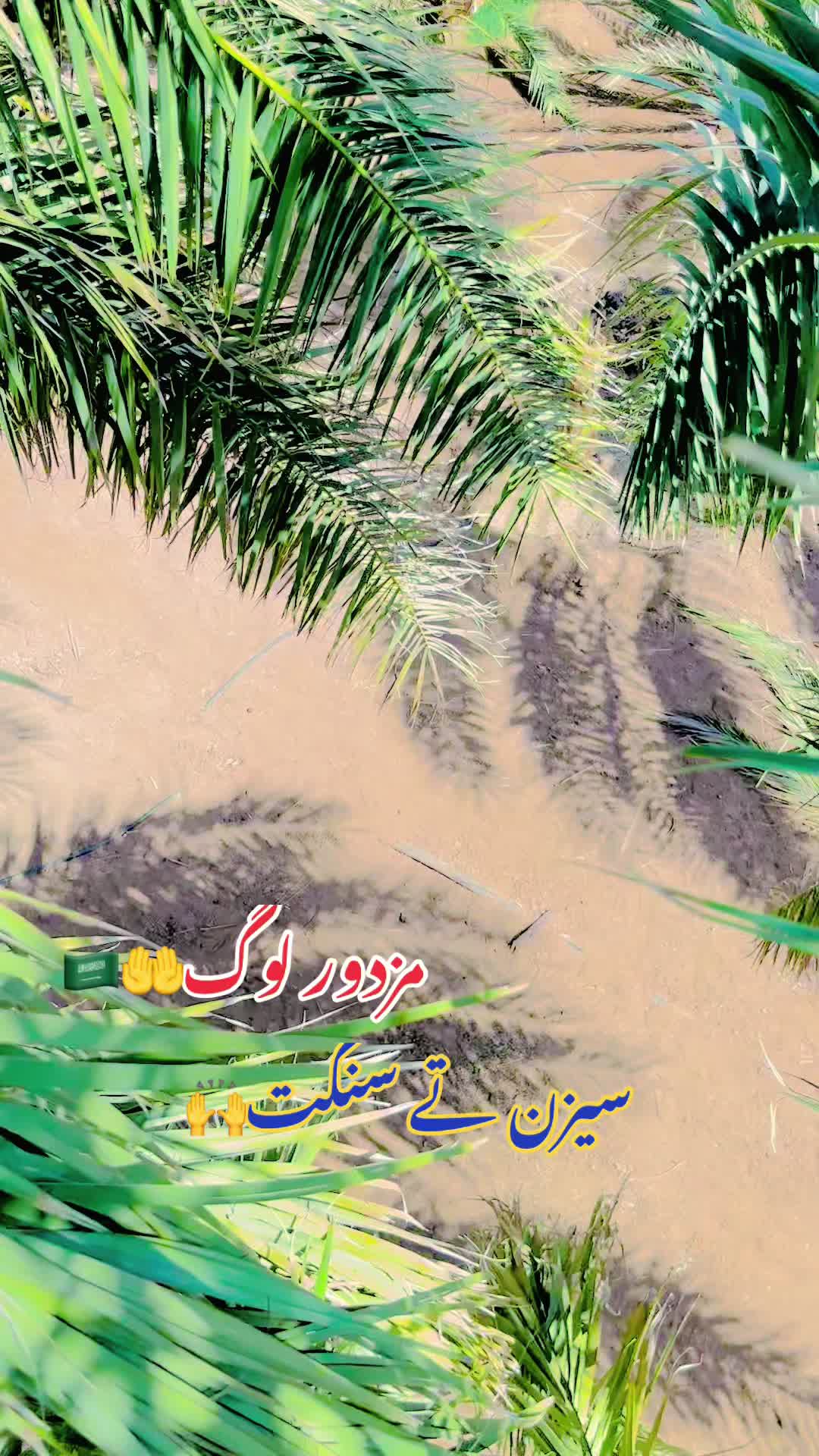 @[🇸🇦]ڈاڈاباقرگلفاد♡🦅