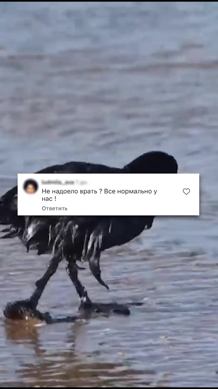 @Горизонтальная Россия@