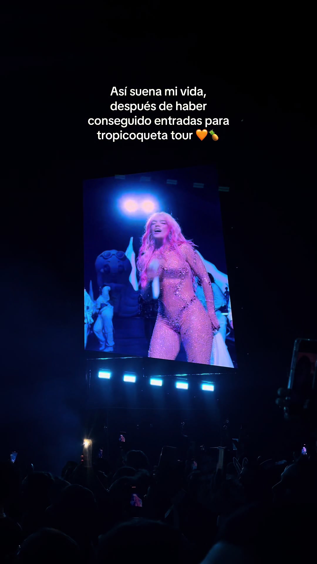 @revealcaraz