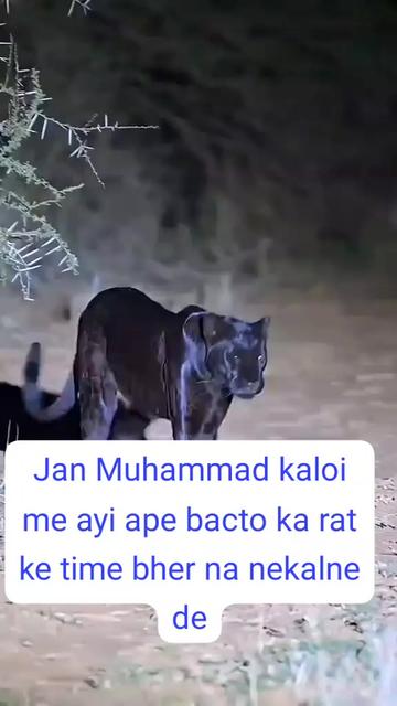 @Naseebullah kaloi