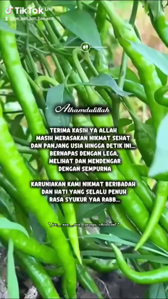 @Joe Sani Jay