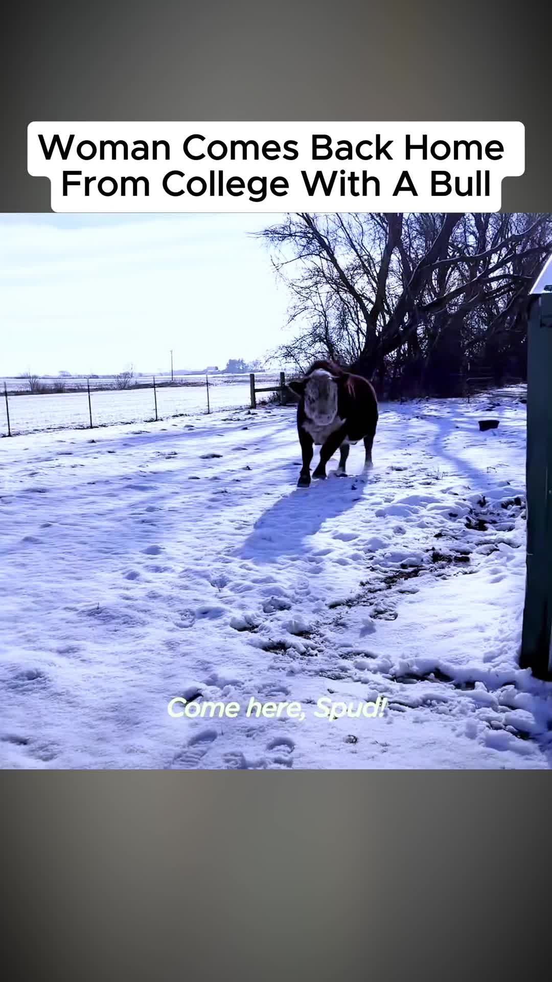 @The Clever Cowgirl