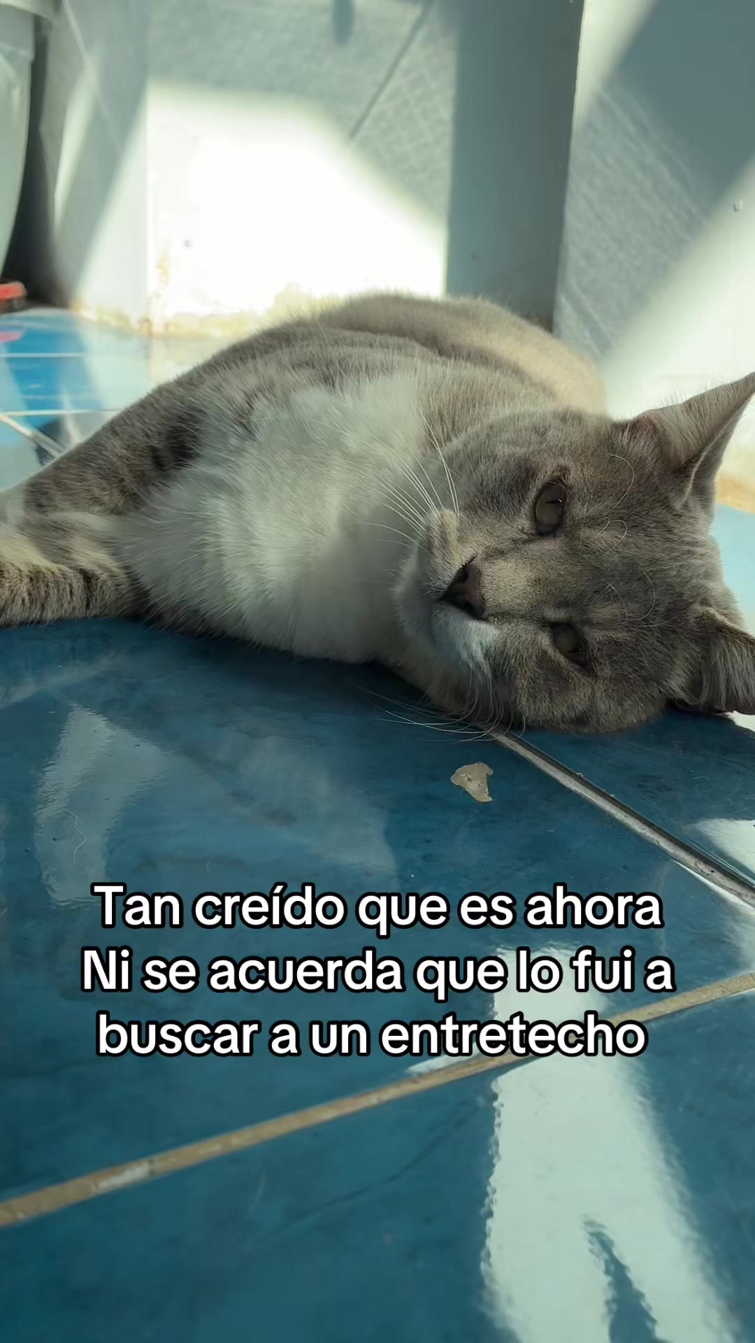 @Javier Andres