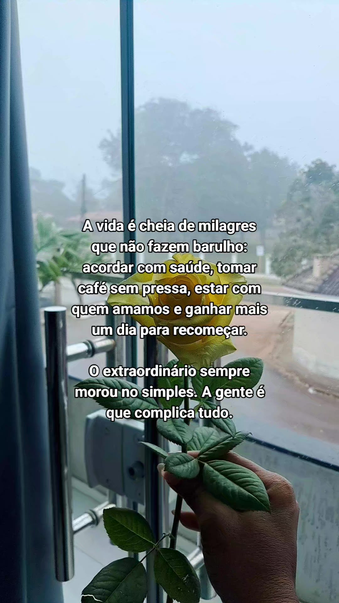 @⚕️DINA ⚕️8/8