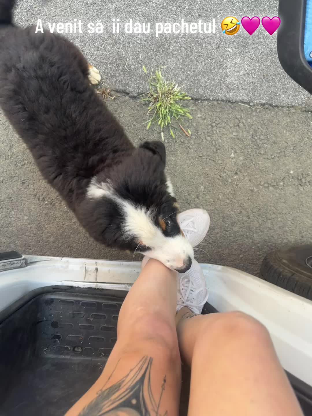 @Maia