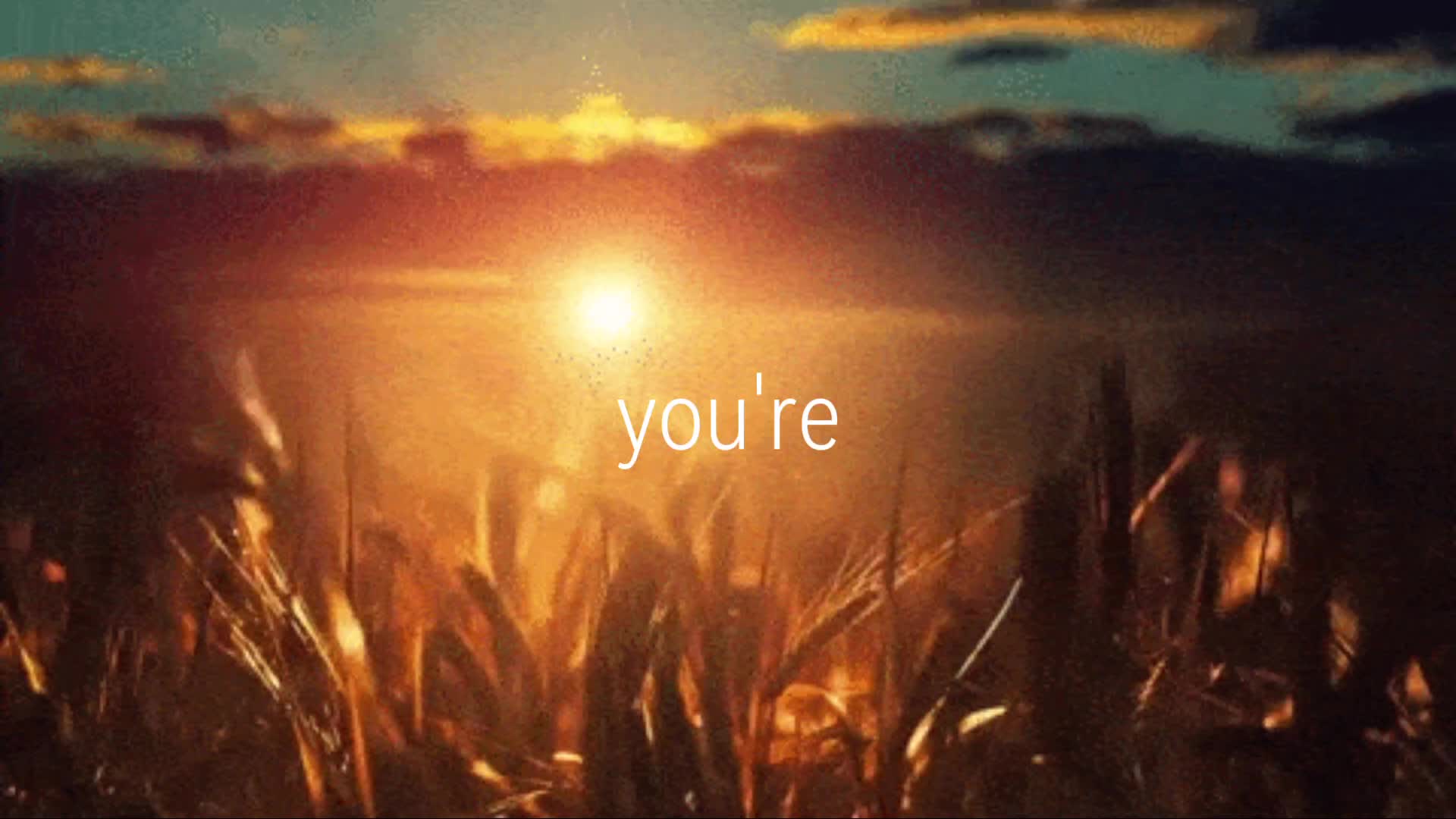 @Sienna 𝄞