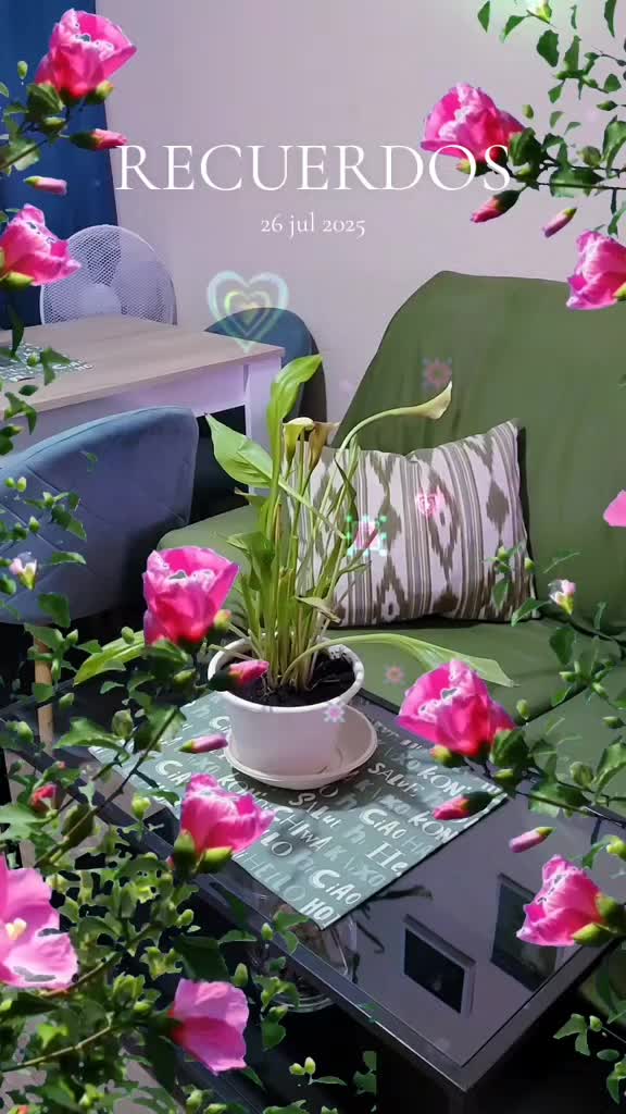 @estrella Matos