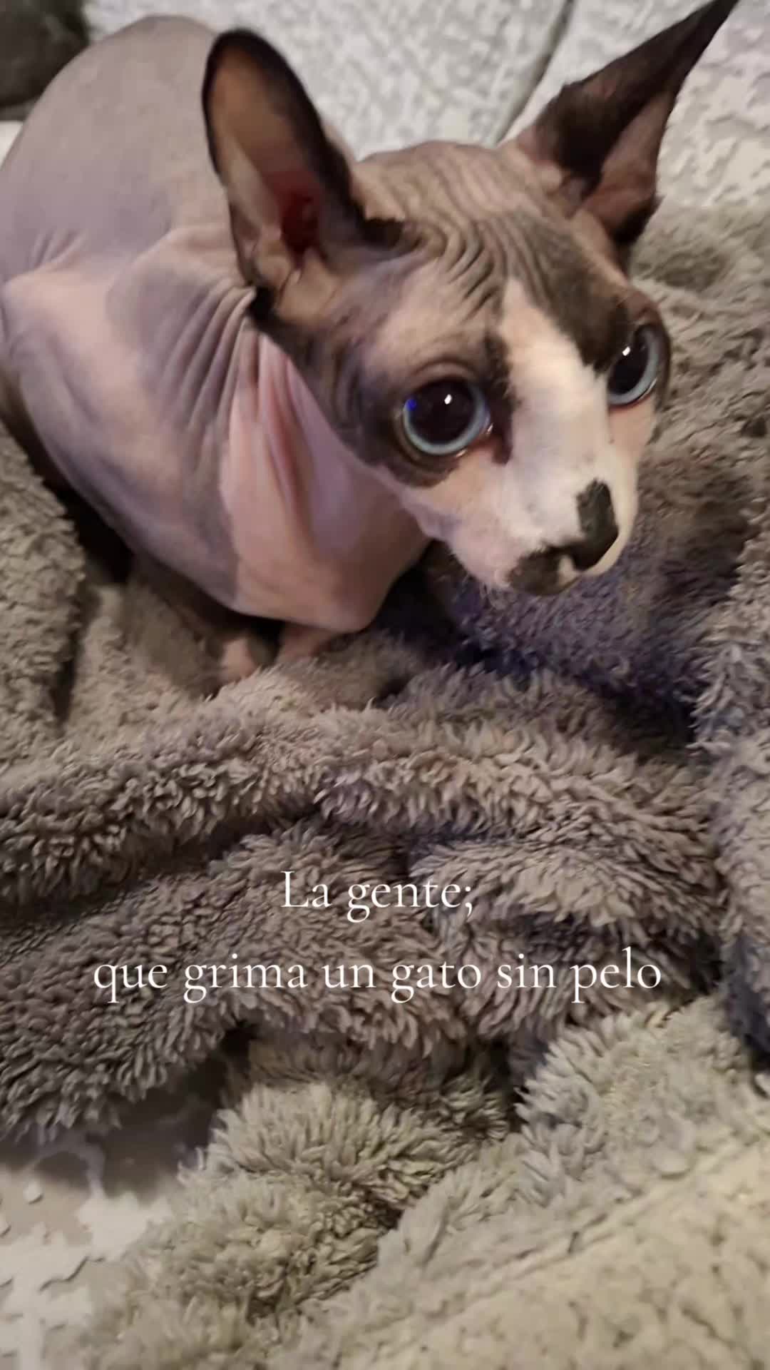 @Bea