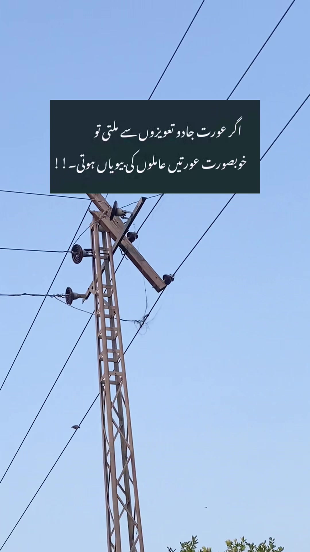 @𝐅𝐚𝐳𝐥𝐢 𝐌𝐚𝐮𝐥𝐚 🇵🇰🇵🇸