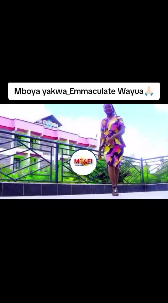 @MSAFI TV💫ONLINE