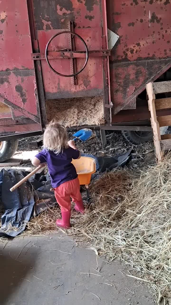 @Taylor | Sah{farm}m