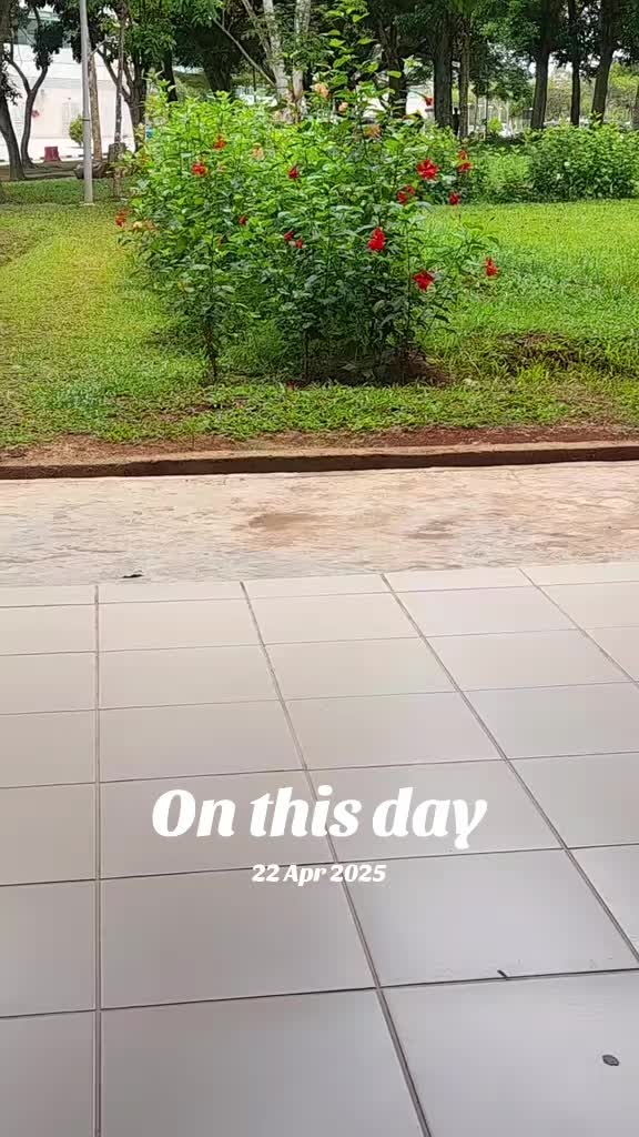 @Kaushik Tina♥️