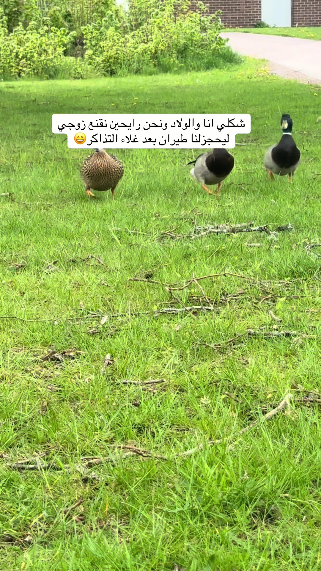 @مشاهير اليوتيوب