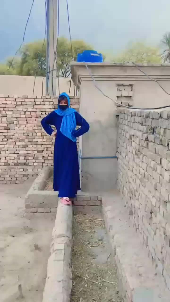 @aimamalik