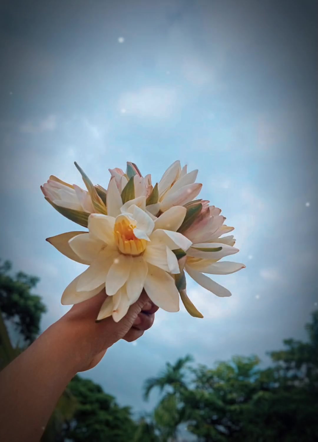 @Ms Bangladeshi✨🧚♀️