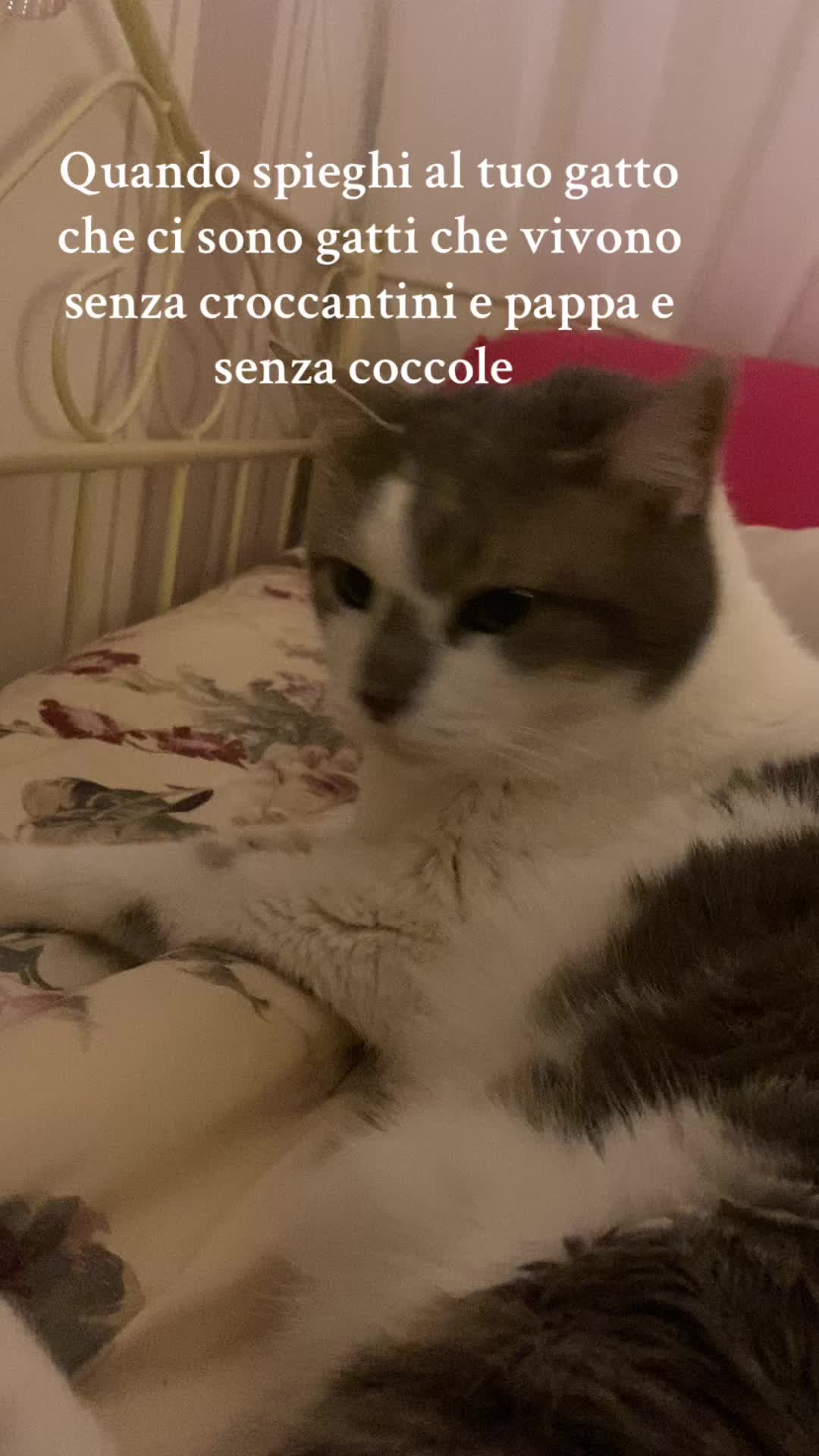 @Alice Scognamillo992