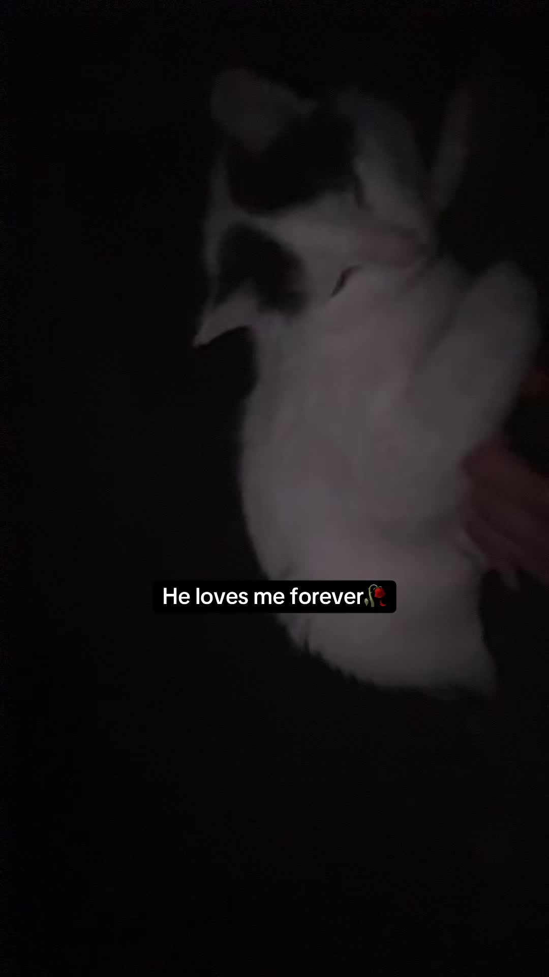 @moonfloowerrr