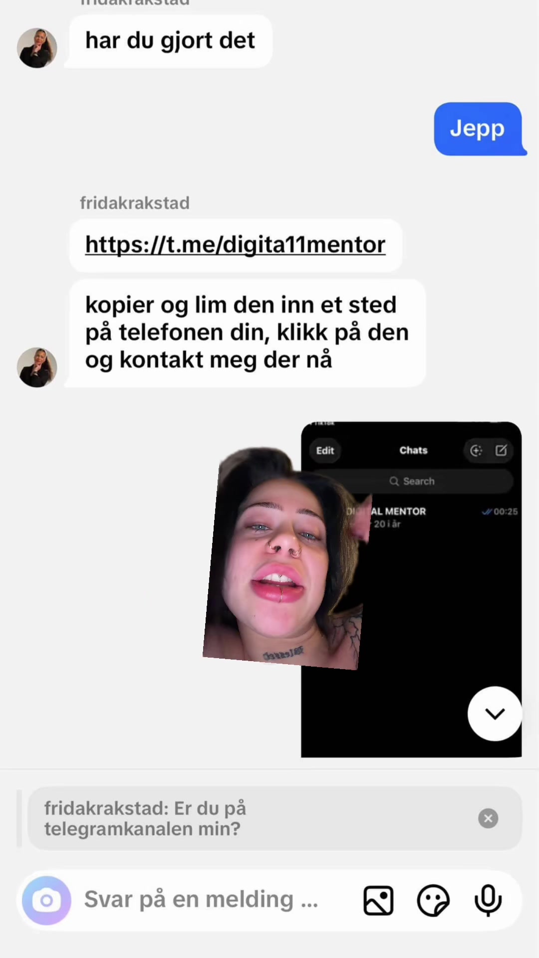 @fridakrakstad