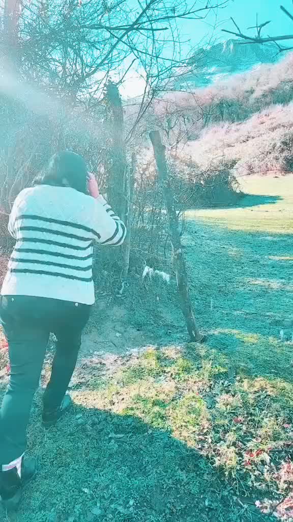 @Noemí torbellino 🤣🤣
