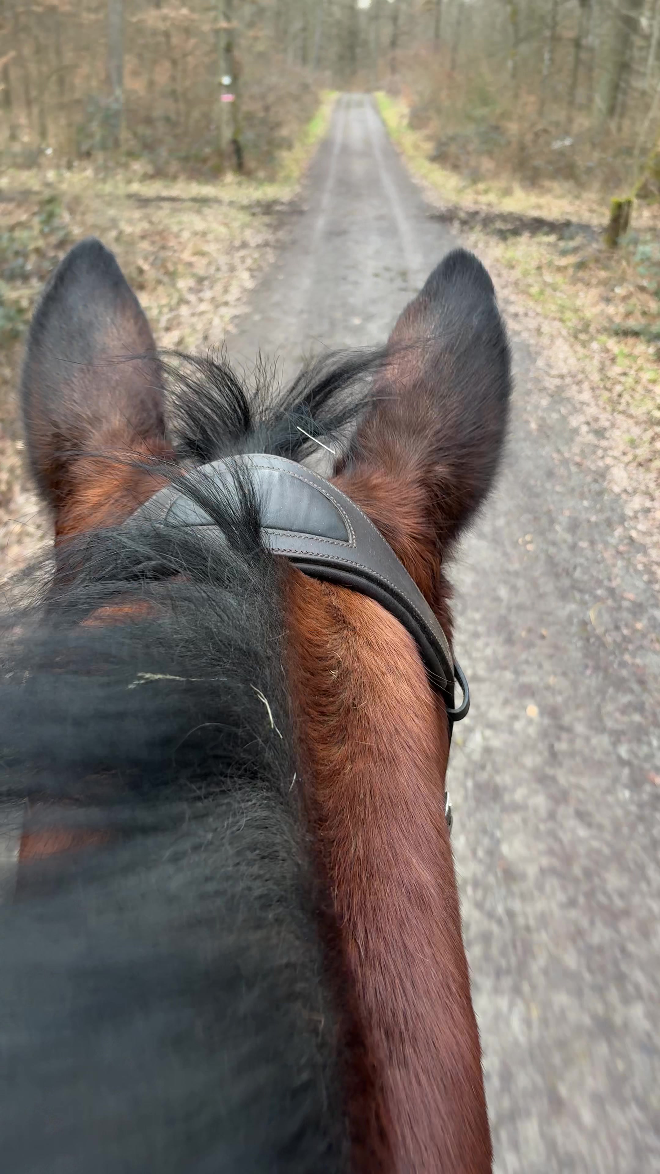 @🐎Maria31🐎
