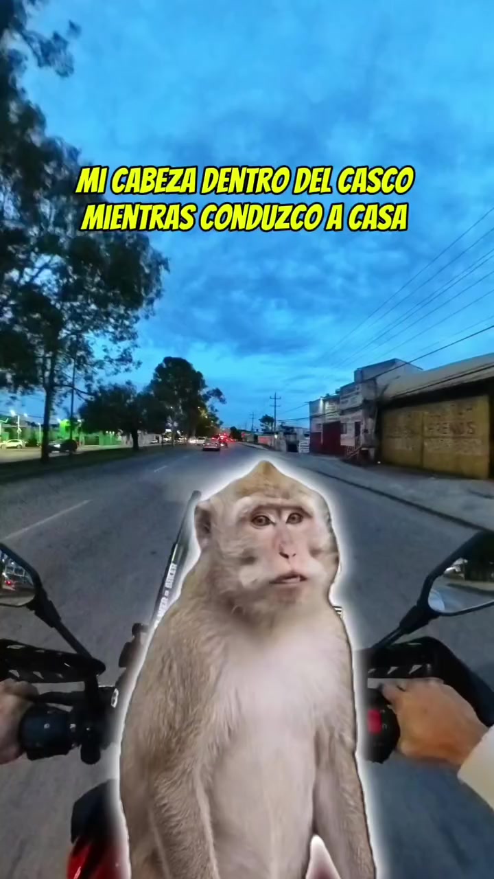 @noe