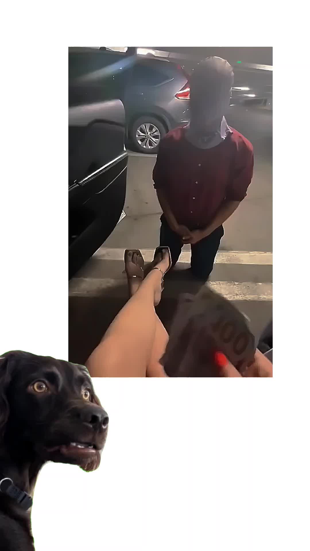 @Chillszone🤣