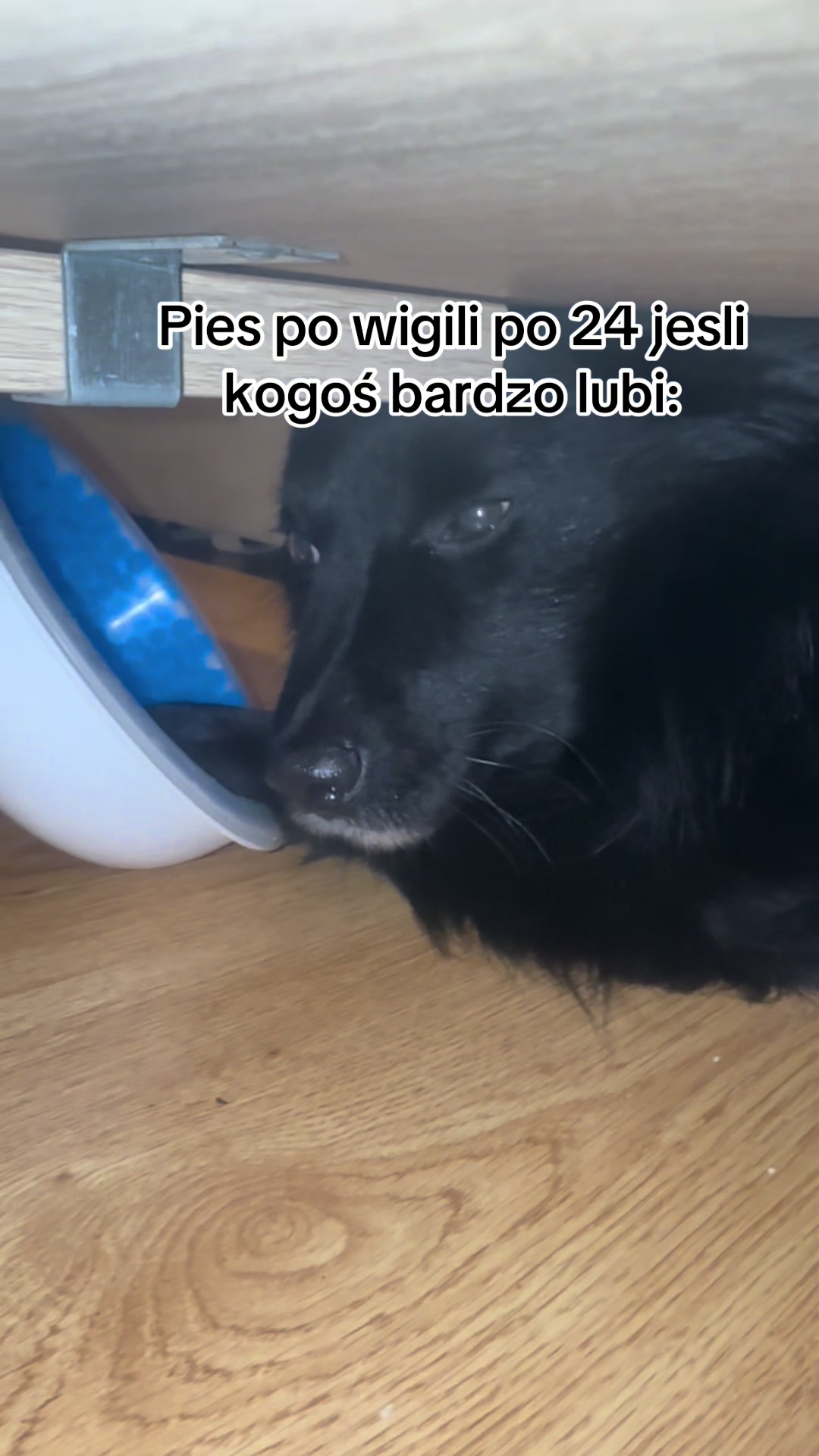 @𝕾𝖙𝖊𝖋𝖆96𝖝💀