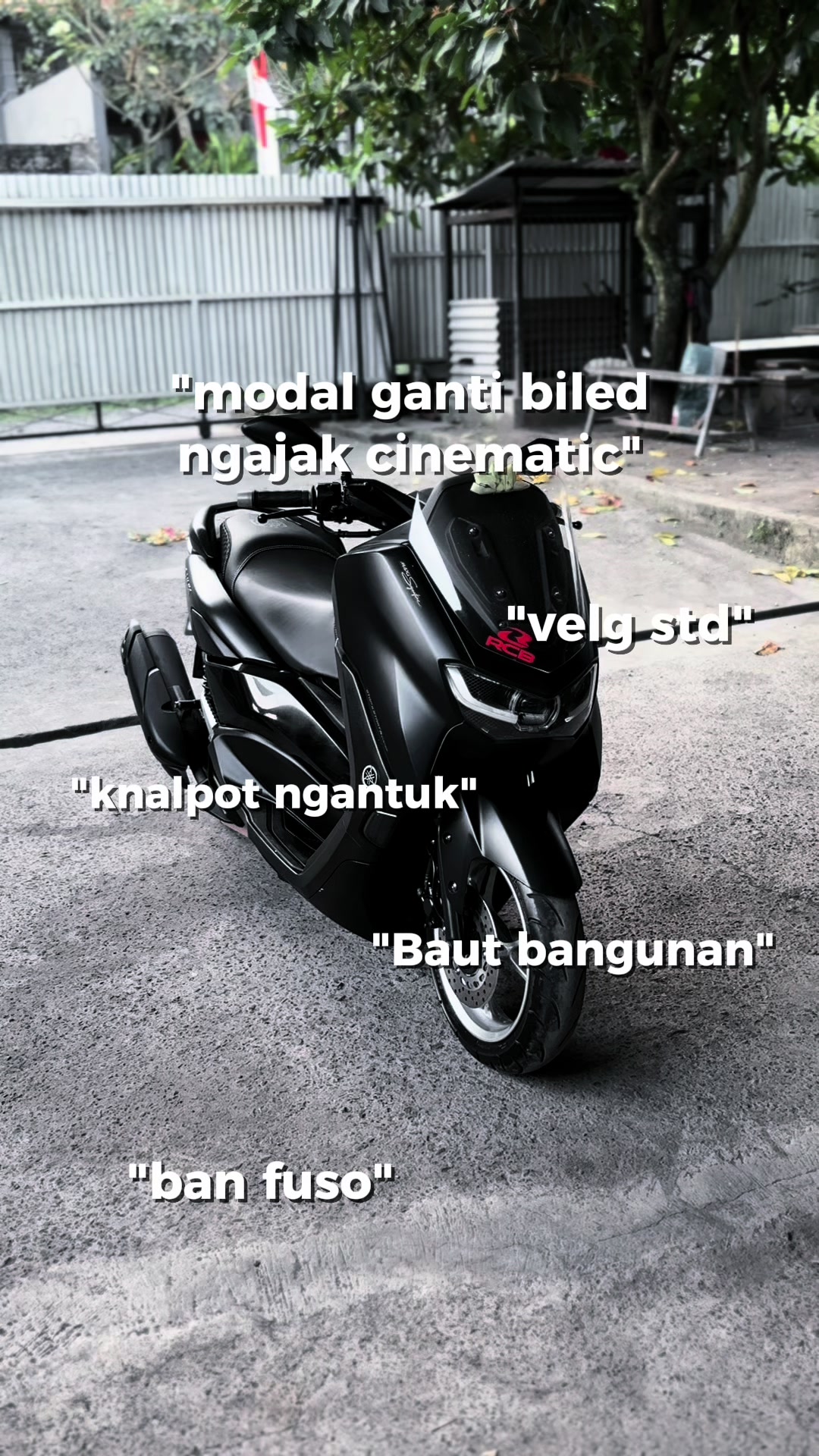 @Wistaaaaaaa