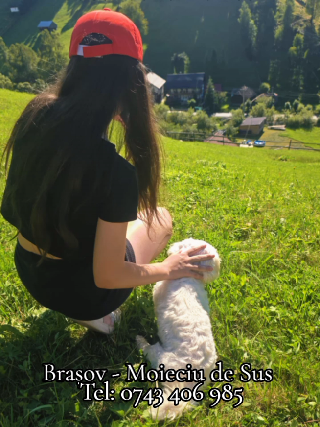 @Travel in Romania