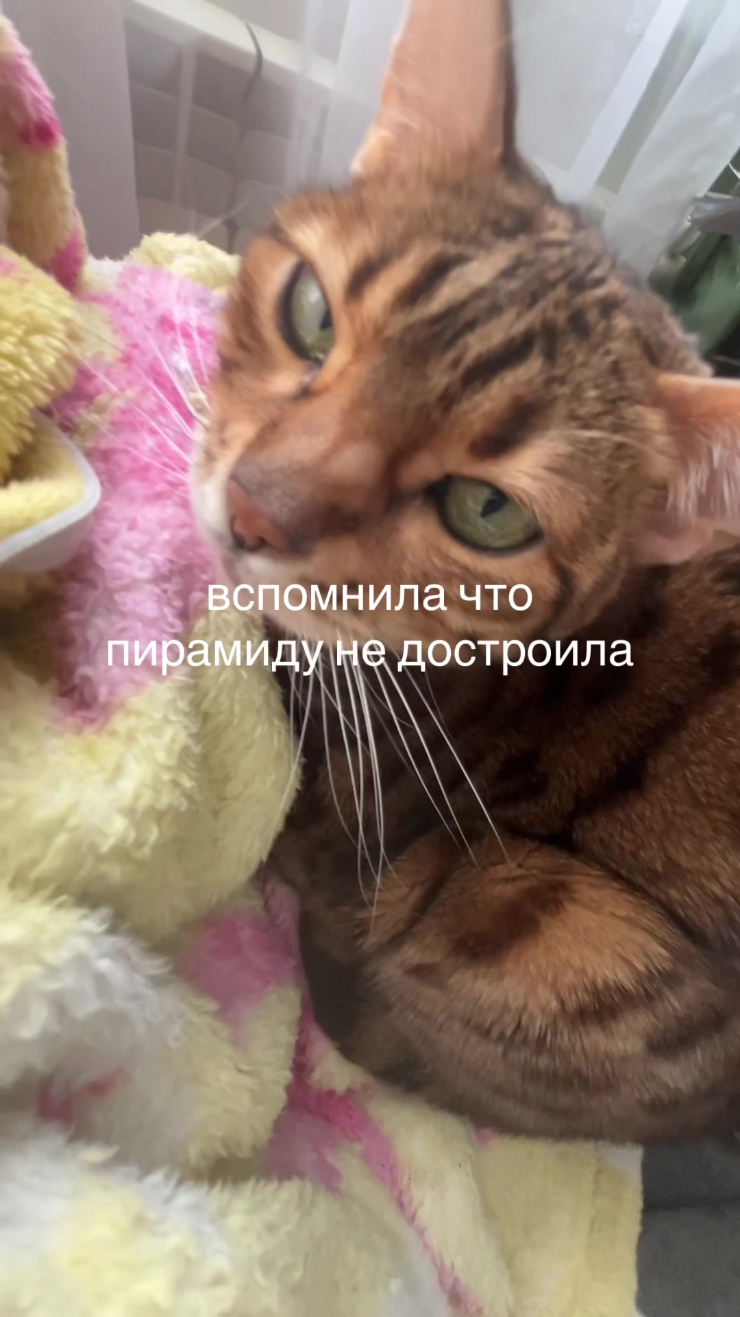 @marie @