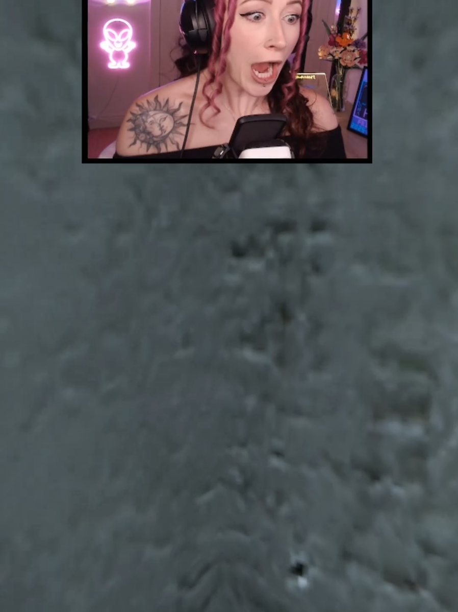 @HollyREX | Twitch