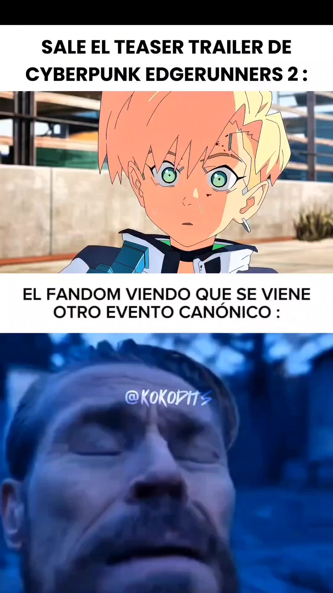 @KOKODITS