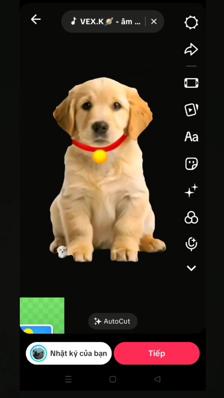 @....