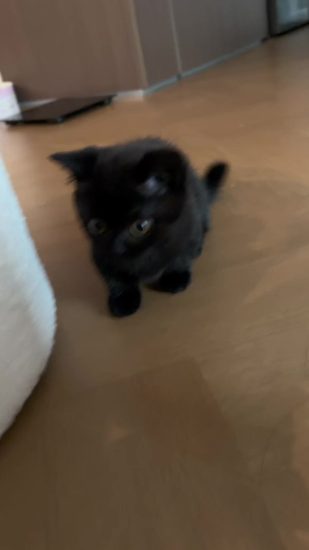 @FluffyTales