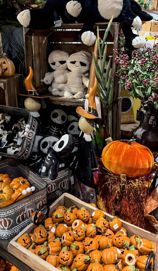 @🎃𝕽𝖆𝖈𝖍𝖊𝖑🦇