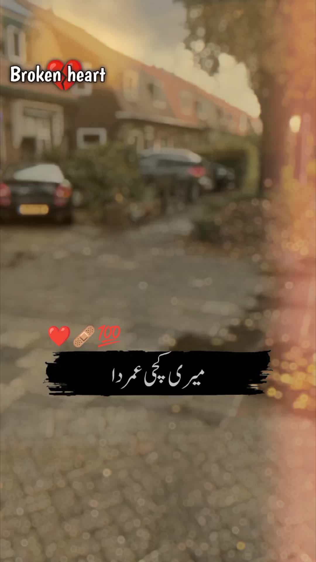 @🍂سرورِ عشق🫀