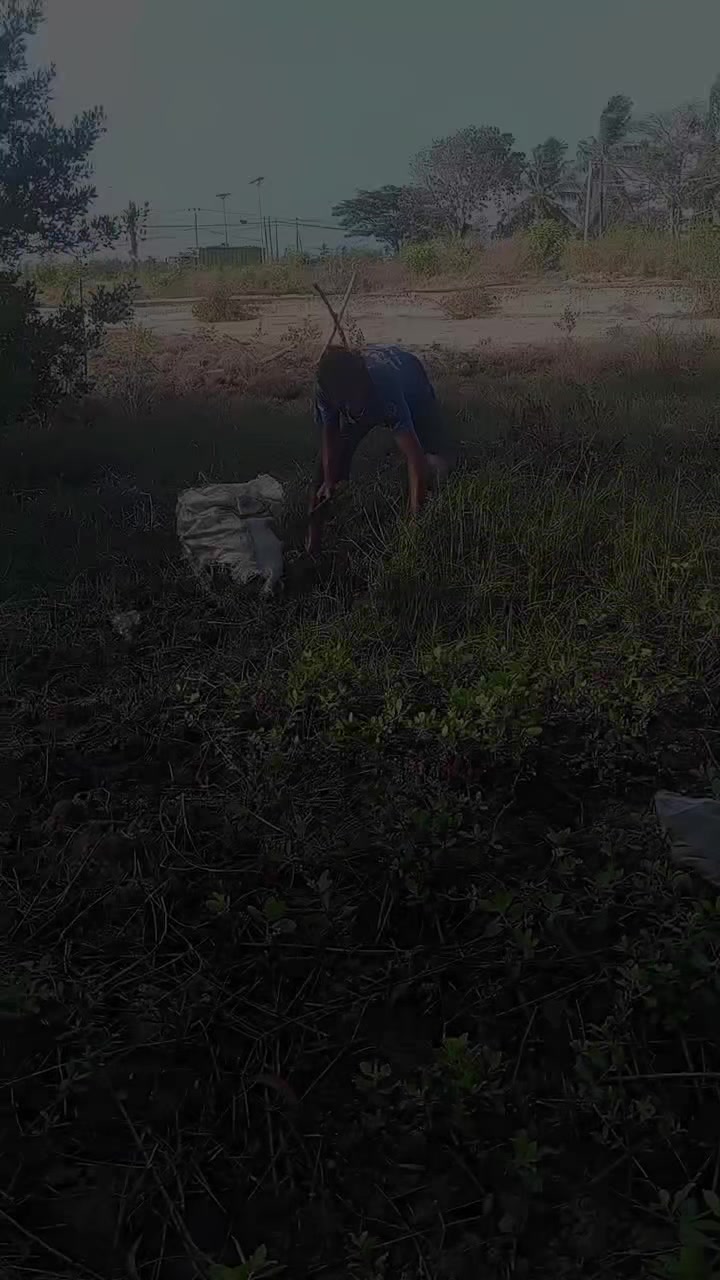 @Muliadi