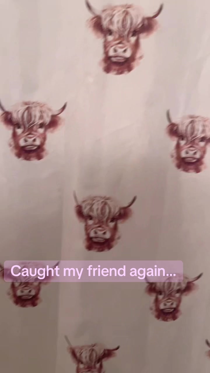 @dash1_dash