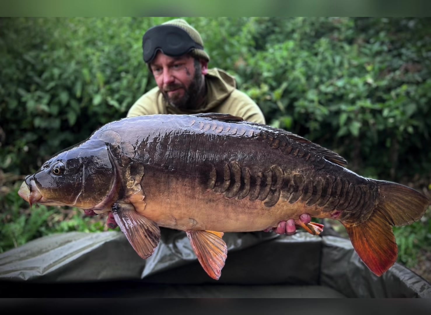 @Ian bank rat davies