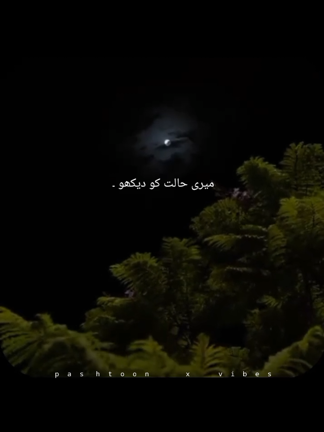 @pashtoon vibes