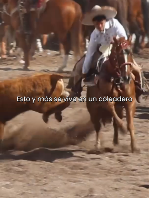@renuevatv_zacatecas