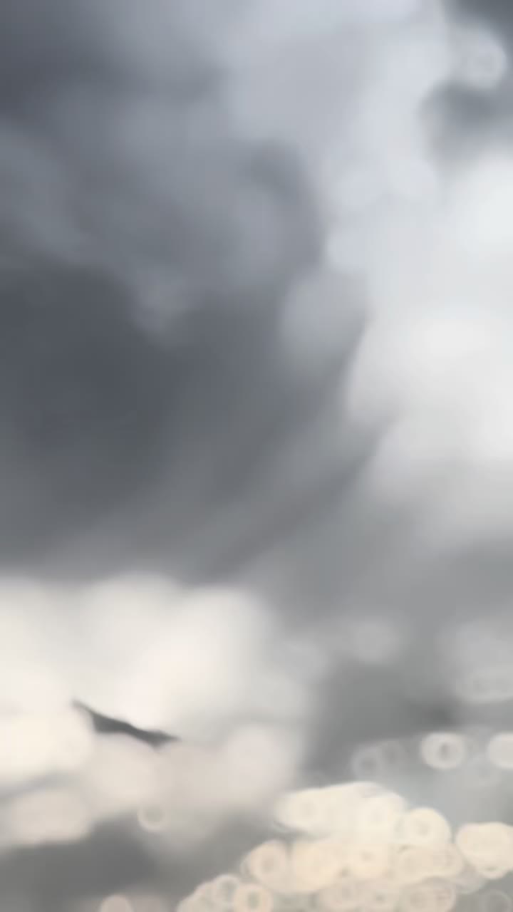 @daniyalkhan__7