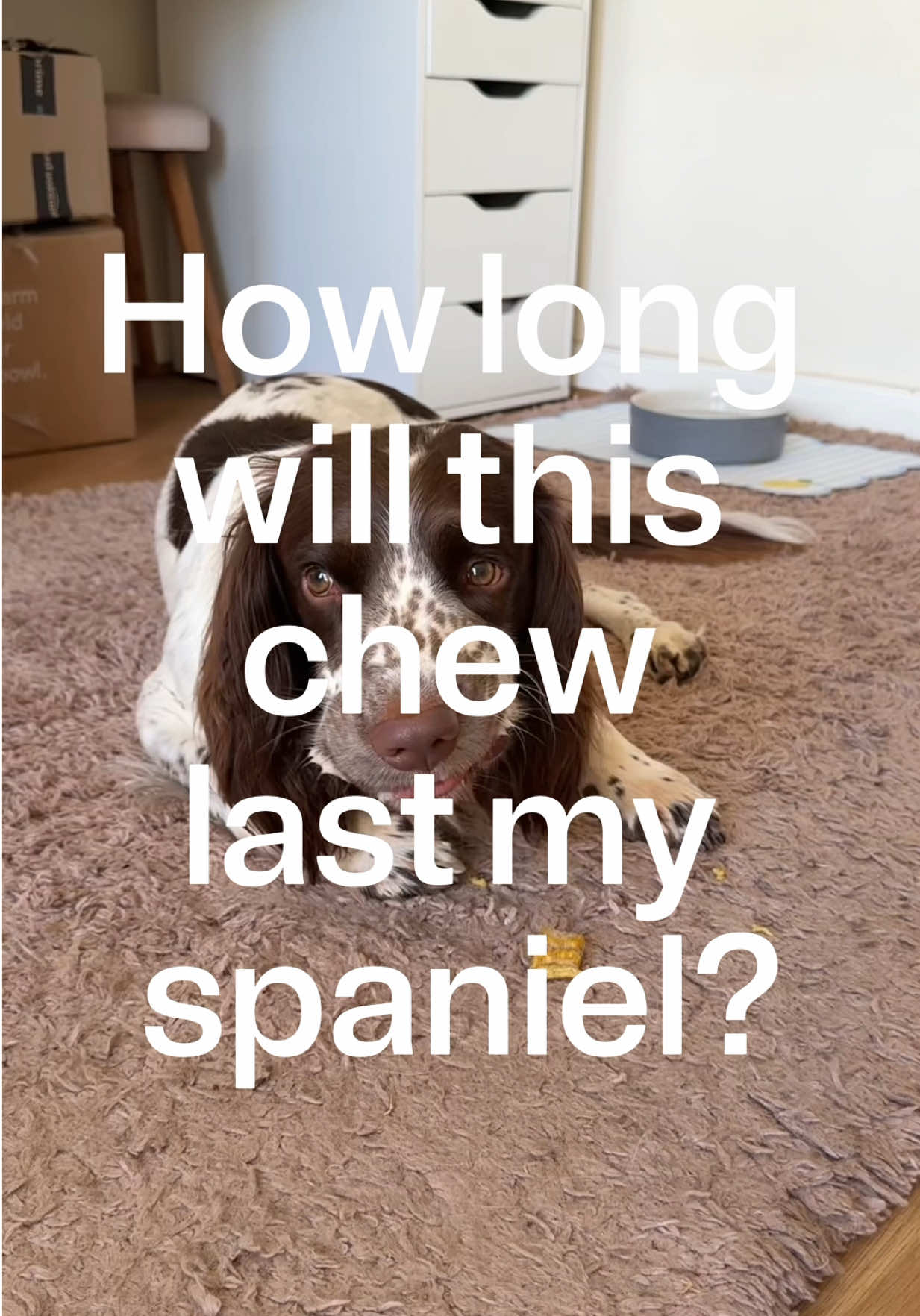 @Barney