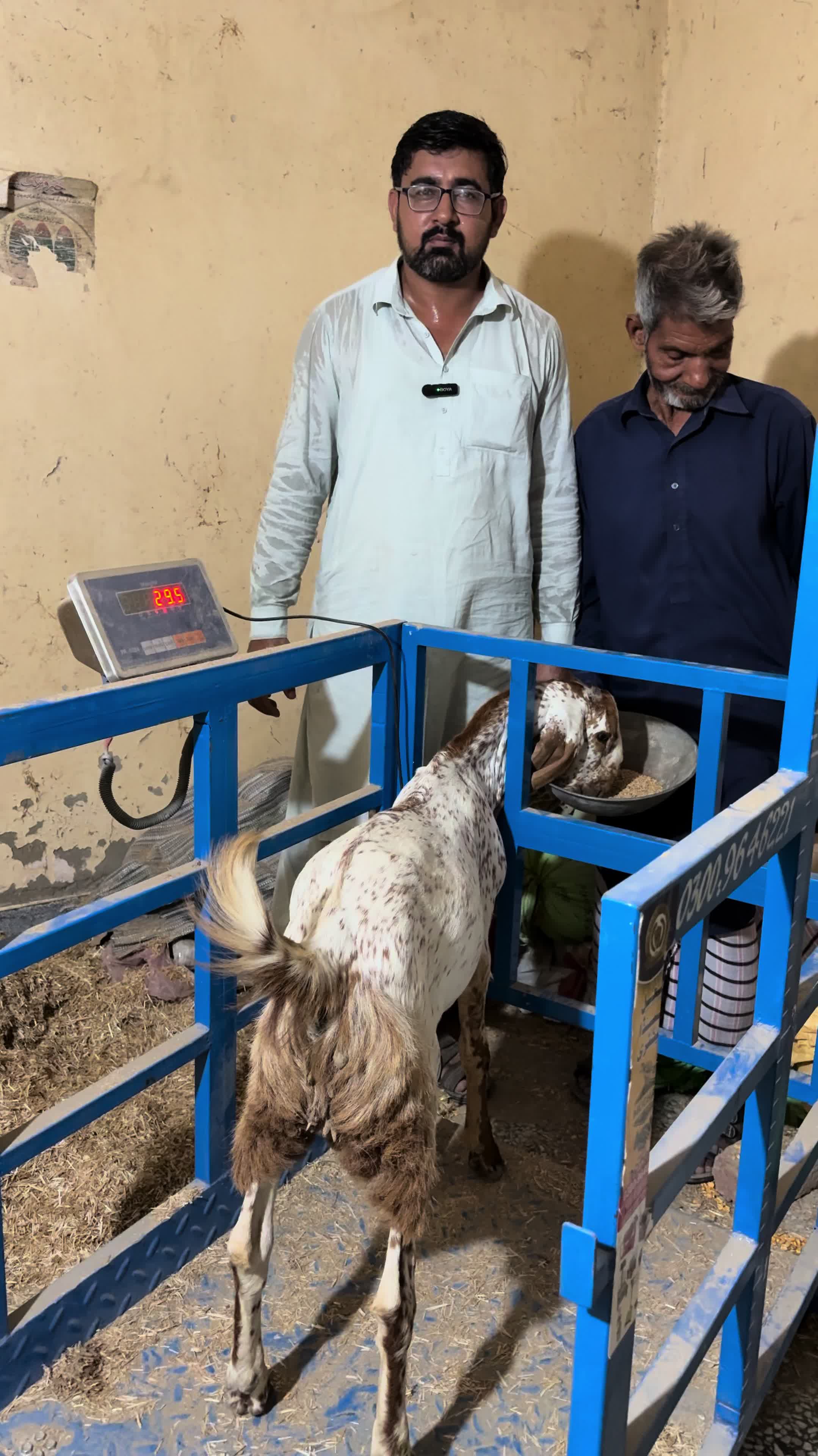 @vet.dr.mohsin4800