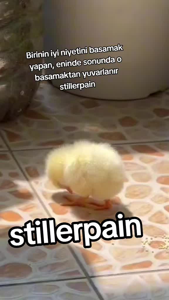 @stillerpain