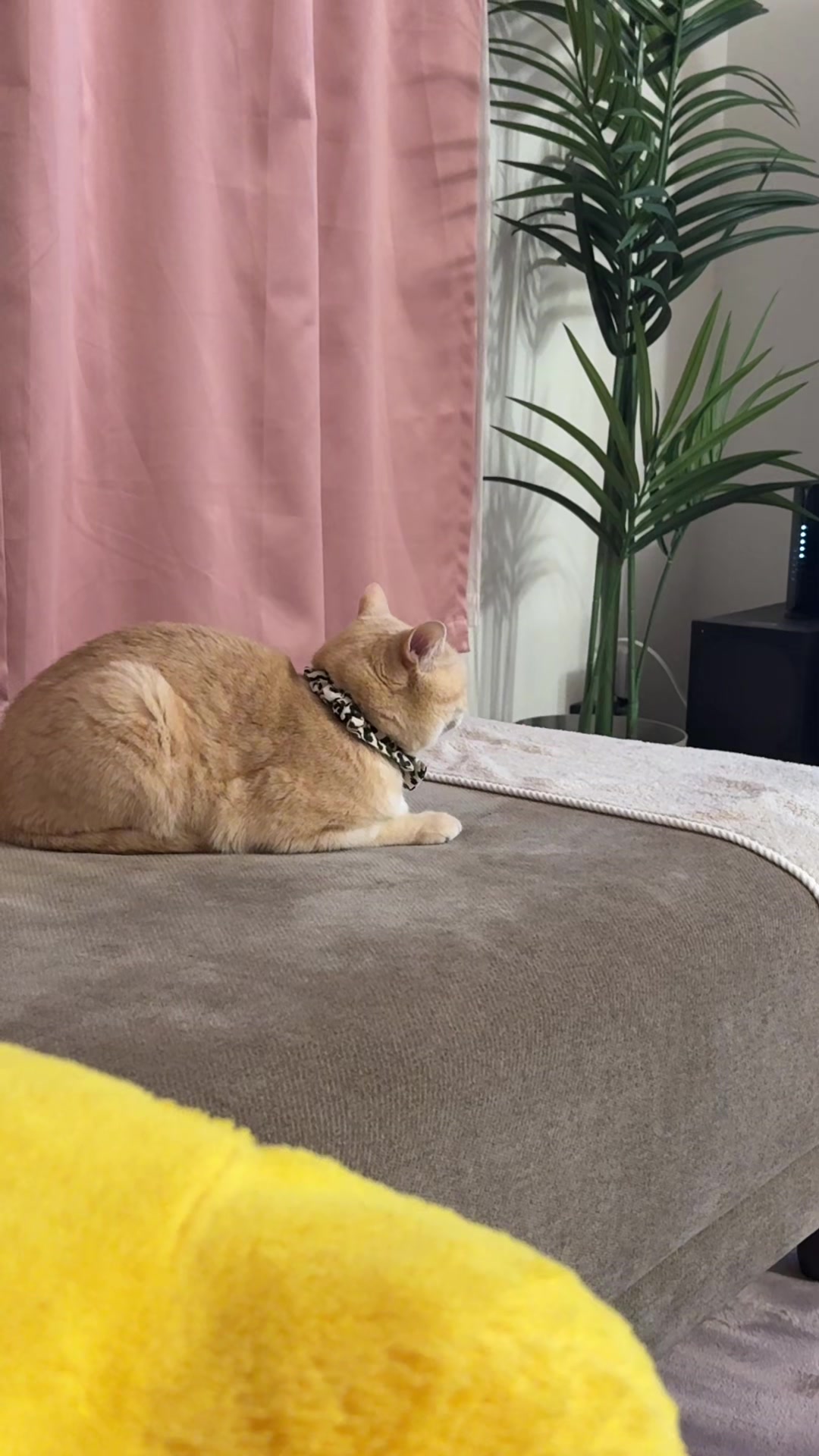 @どこかのだれか