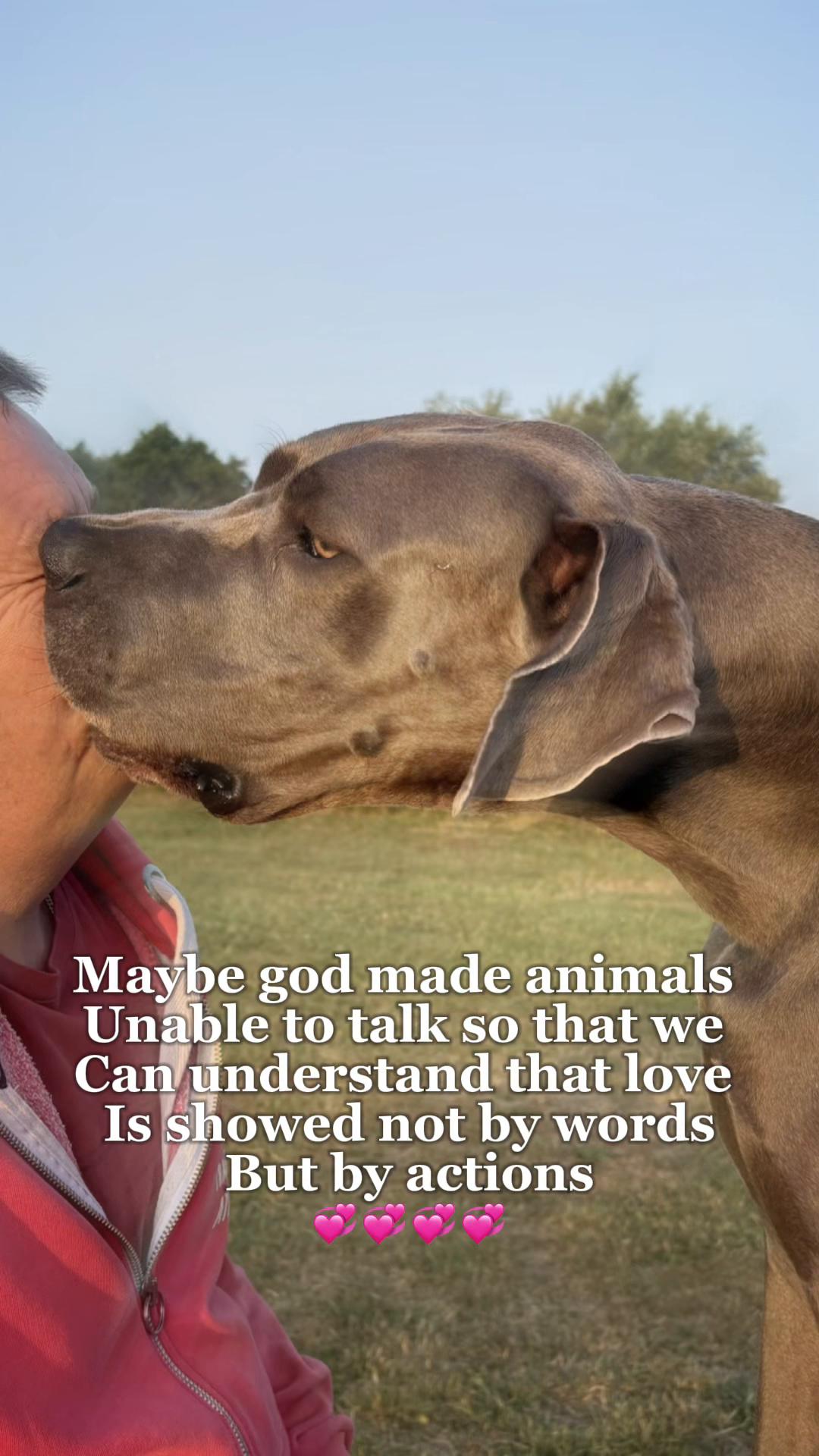 @Scoob and Blueberry