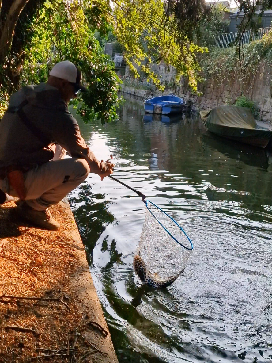 @BF Angler